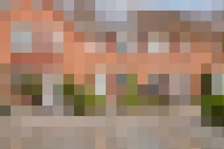 De Smidse 14 Rhoon thumbnail 5