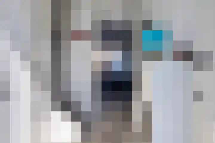 De Smidse 14 Rhoon thumbnail 6