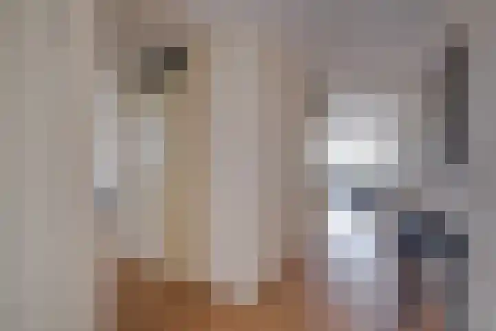 De Smidse 22 Ruurlo thumbnail 14