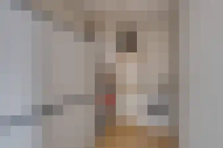 De Smidse 22 Ruurlo thumbnail 18
