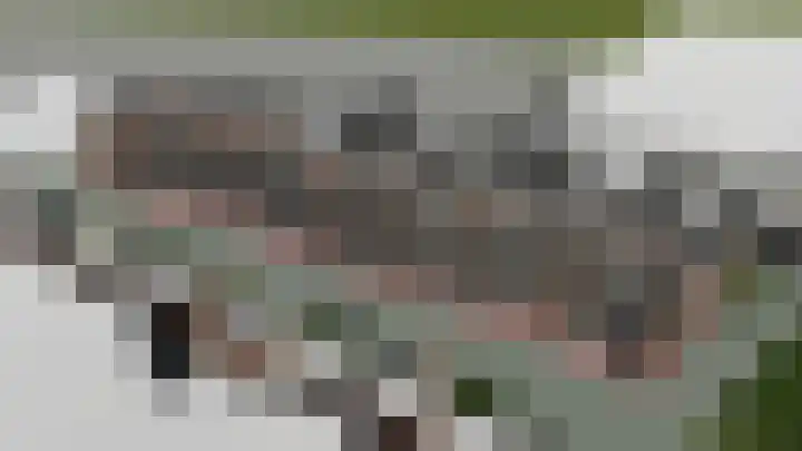 De Smidse 24 Reuver thumbnail 17