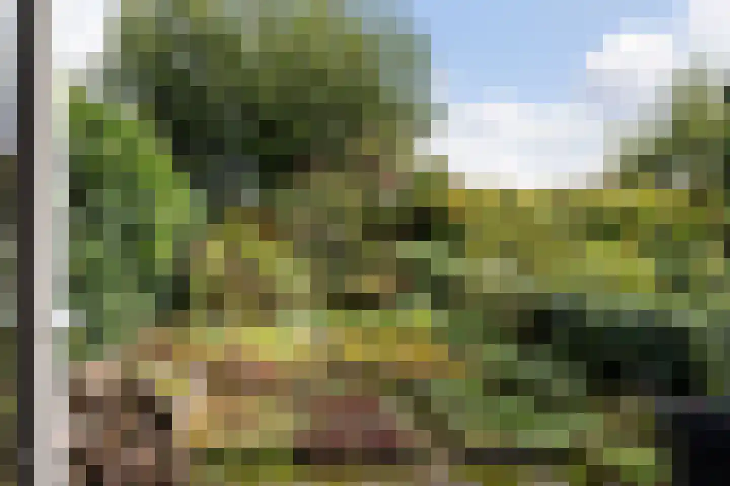 de Smidse 3 Oosterbeek thumbnail 12