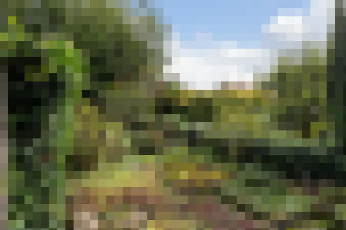 de Smidse 3 Oosterbeek thumbnail 13