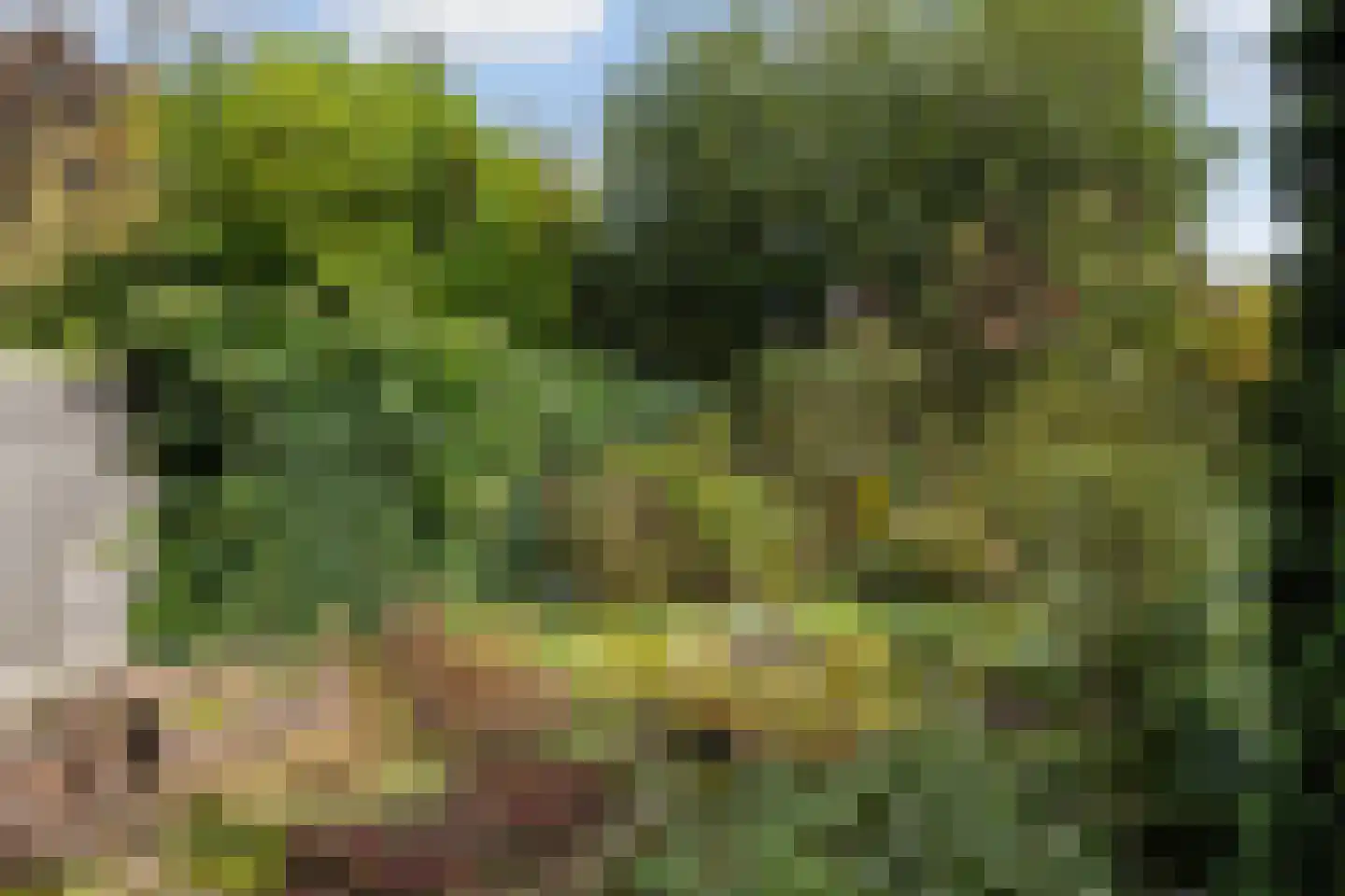 de Smidse 3 Oosterbeek thumbnail 14