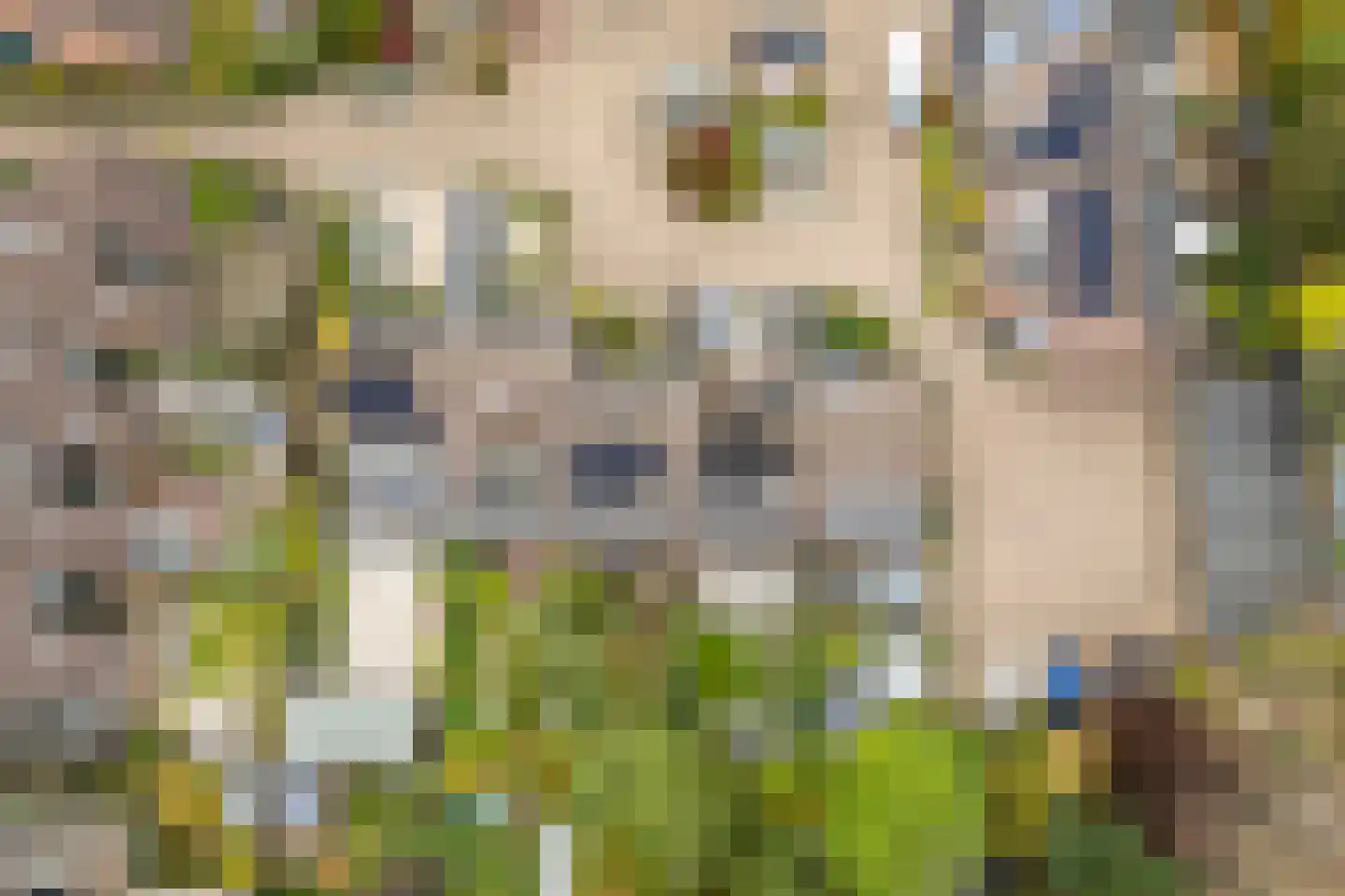 de Smidse 3 Oosterbeek thumbnail 34