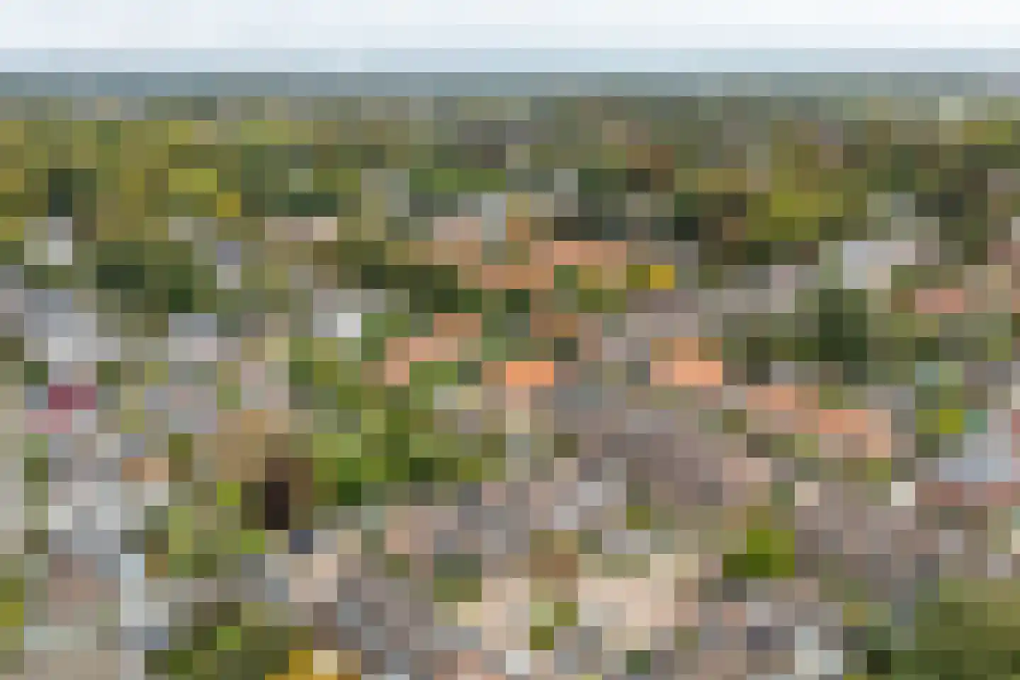 de Smidse 3 Oosterbeek thumbnail 35