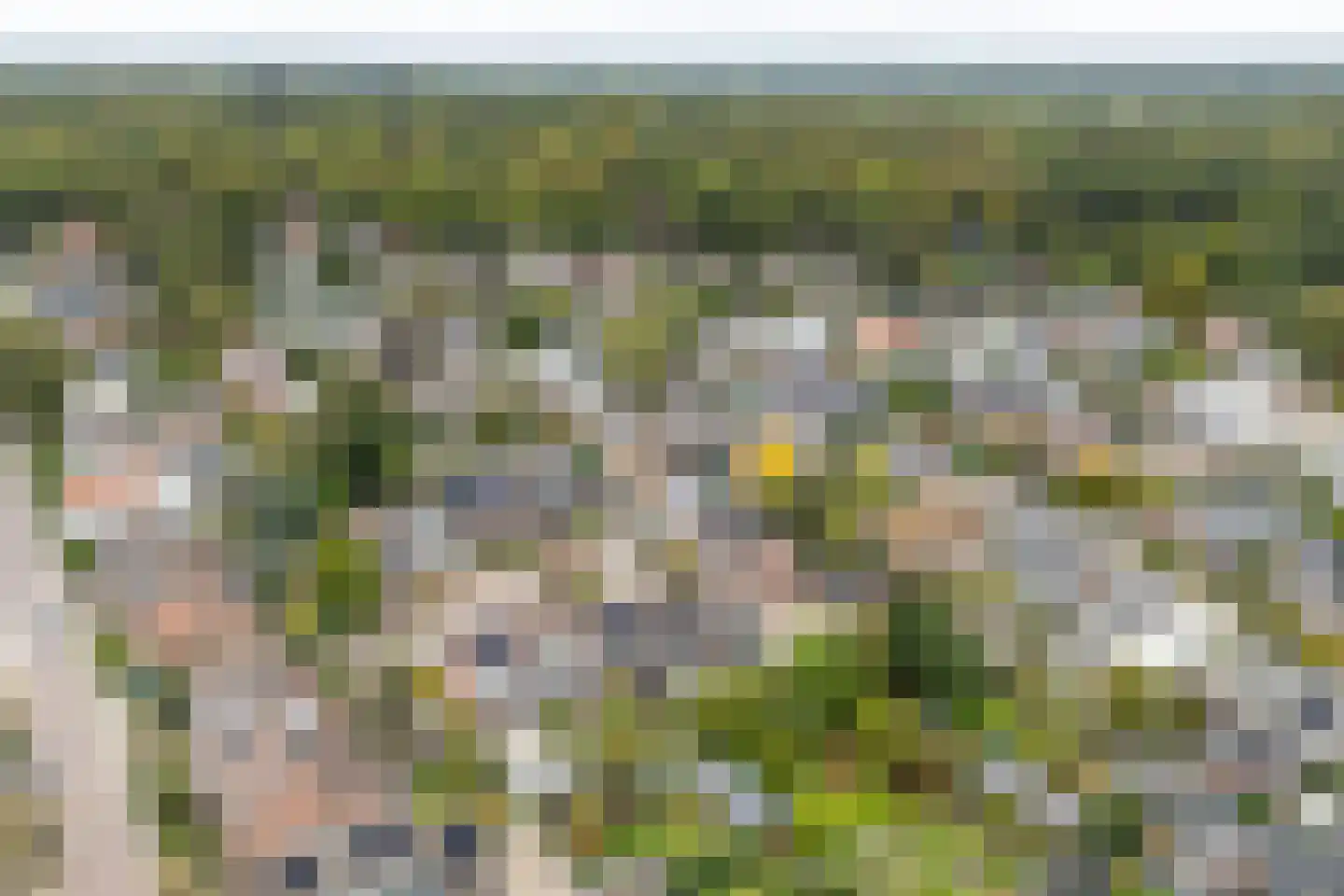 de Smidse 3 Oosterbeek thumbnail 36
