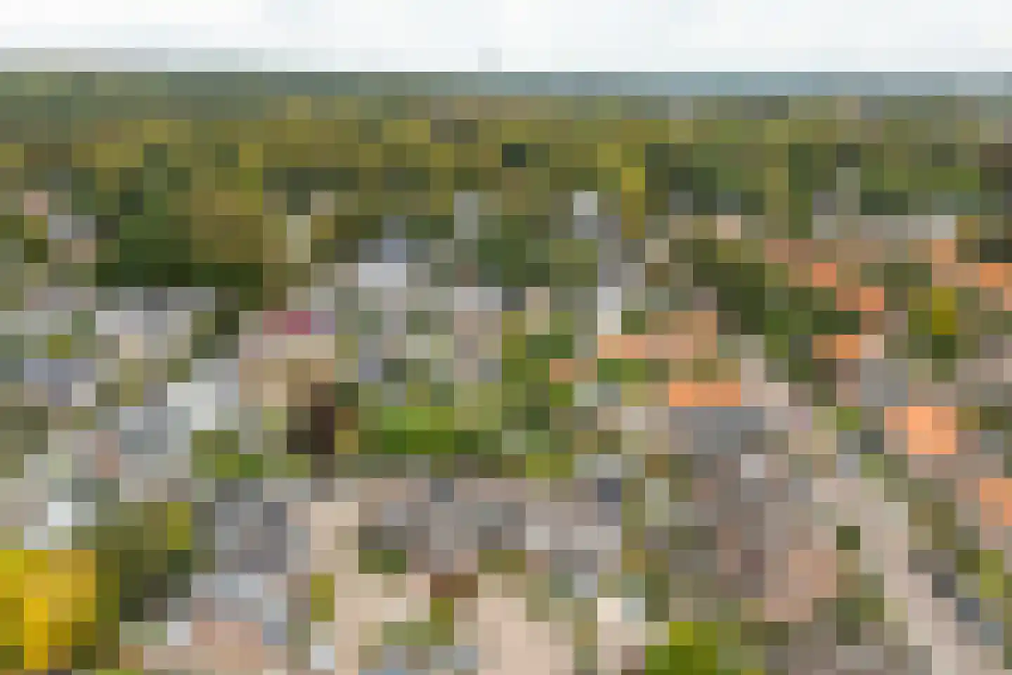 de Smidse 3 Oosterbeek thumbnail 37