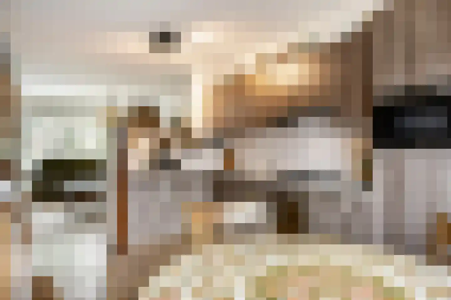de Smidse 3 Oosterbeek thumbnail 4