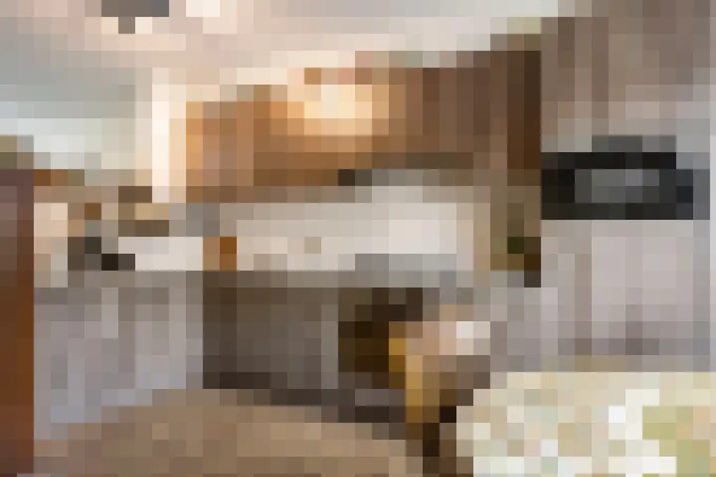 de Smidse 3 Oosterbeek thumbnail 5