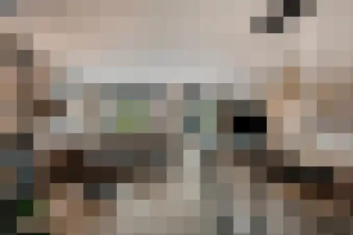 De Smidse 38 Rhoon thumbnail 11