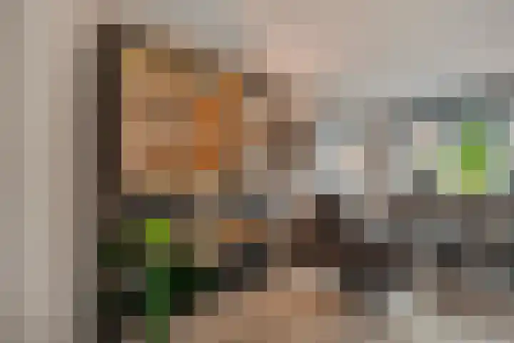 De Smidse 38 Rhoon thumbnail 14