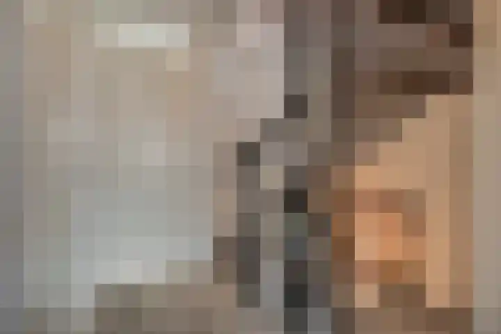 De Smidse 38 Rhoon thumbnail 20
