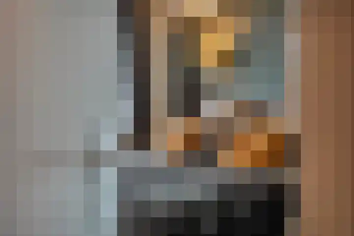 De Smidse 38 Rhoon thumbnail 21