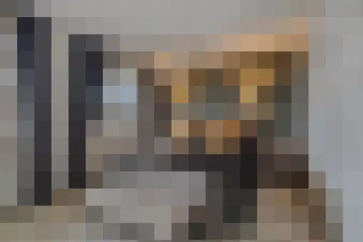 De Smidse 38 Rhoon thumbnail 23