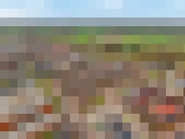 De Smidse 38 Rhoon thumbnail 6