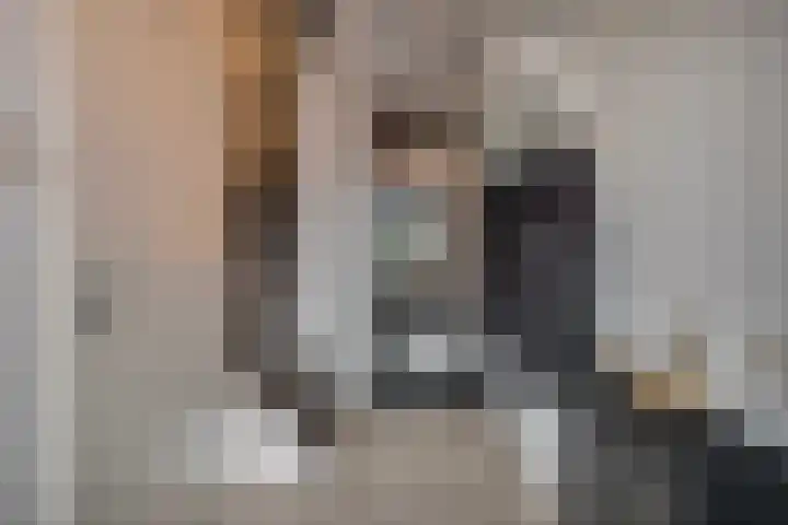 De Smidse 38 Rhoon thumbnail 8