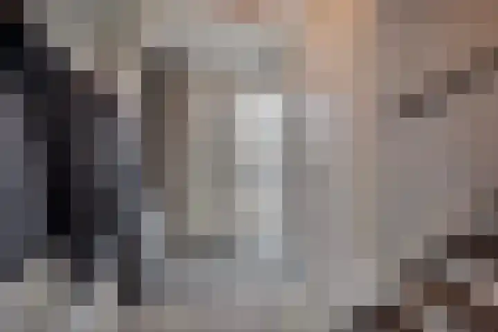 De Smidse 38 Rhoon thumbnail 9