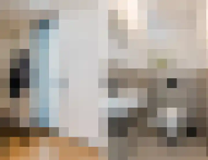 De Smidse 4 Ruurlo thumbnail 10