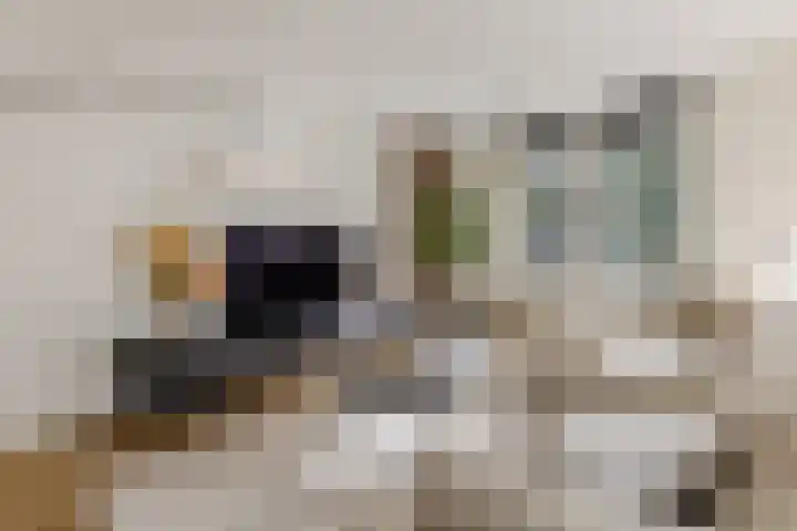 De Smidse 4 Ruurlo thumbnail 12