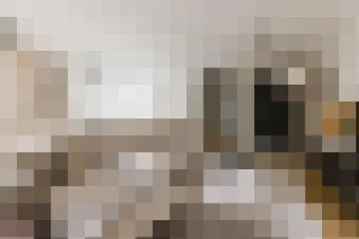 De Smidse 4 Ruurlo thumbnail 13