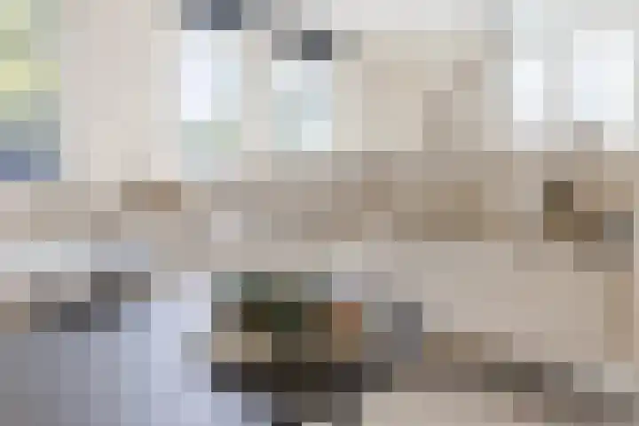 De Smidse 4 Ruurlo thumbnail 14