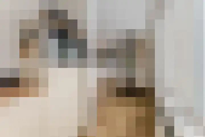 De Smidse 4 Ruurlo thumbnail 18