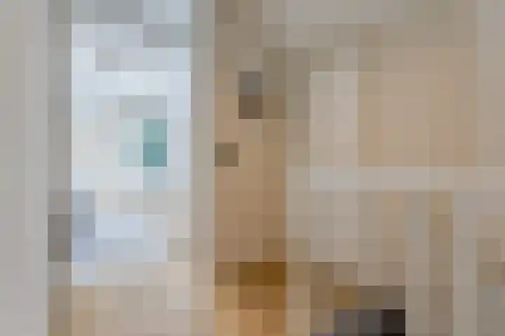 De Smidse 4 Ruurlo thumbnail 19