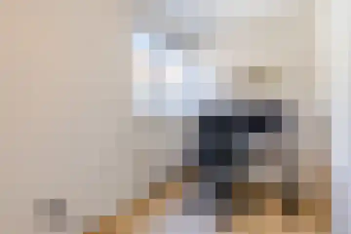 De Smidse 4 Ruurlo thumbnail 22