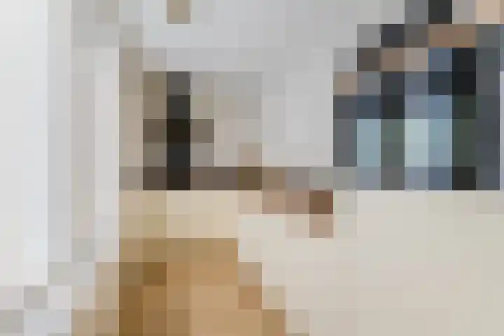 De Smidse 4 Ruurlo thumbnail 4