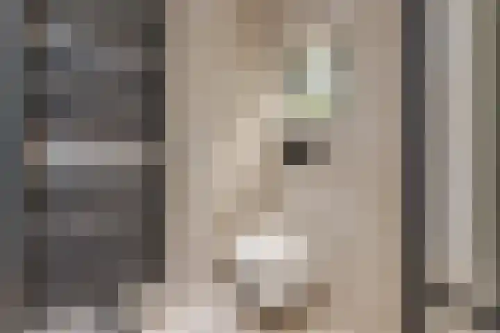De Smidse 4 Ruurlo thumbnail 6