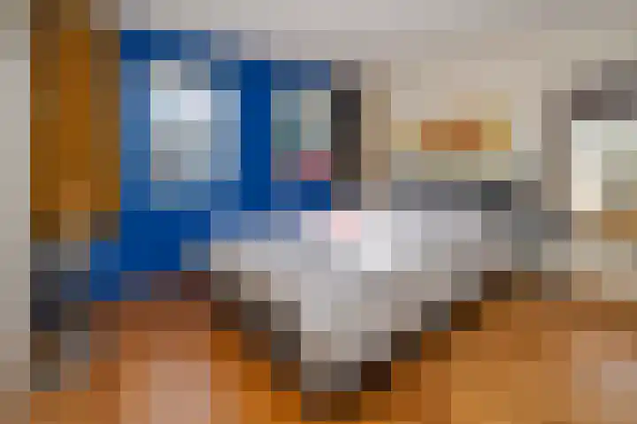 De Smidse 50 Ruurlo thumbnail 11