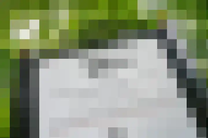 De Smidse 50 Ruurlo thumbnail 26