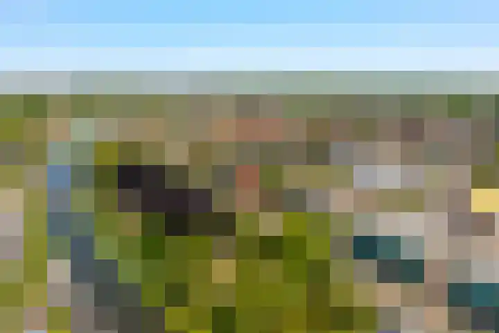 De Smidse 52 Moordrecht thumbnail 4