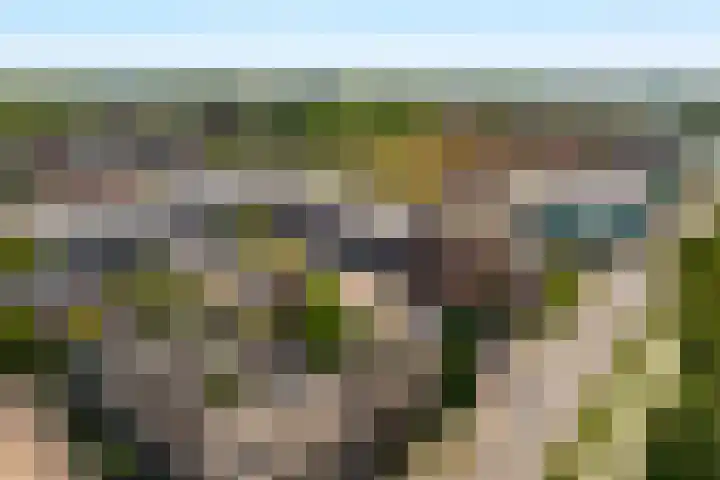 De Smidse 52 Moordrecht thumbnail 5