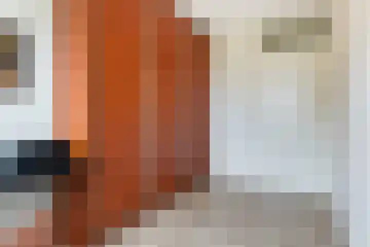 De Smidse 58 Moordrecht thumbnail 33