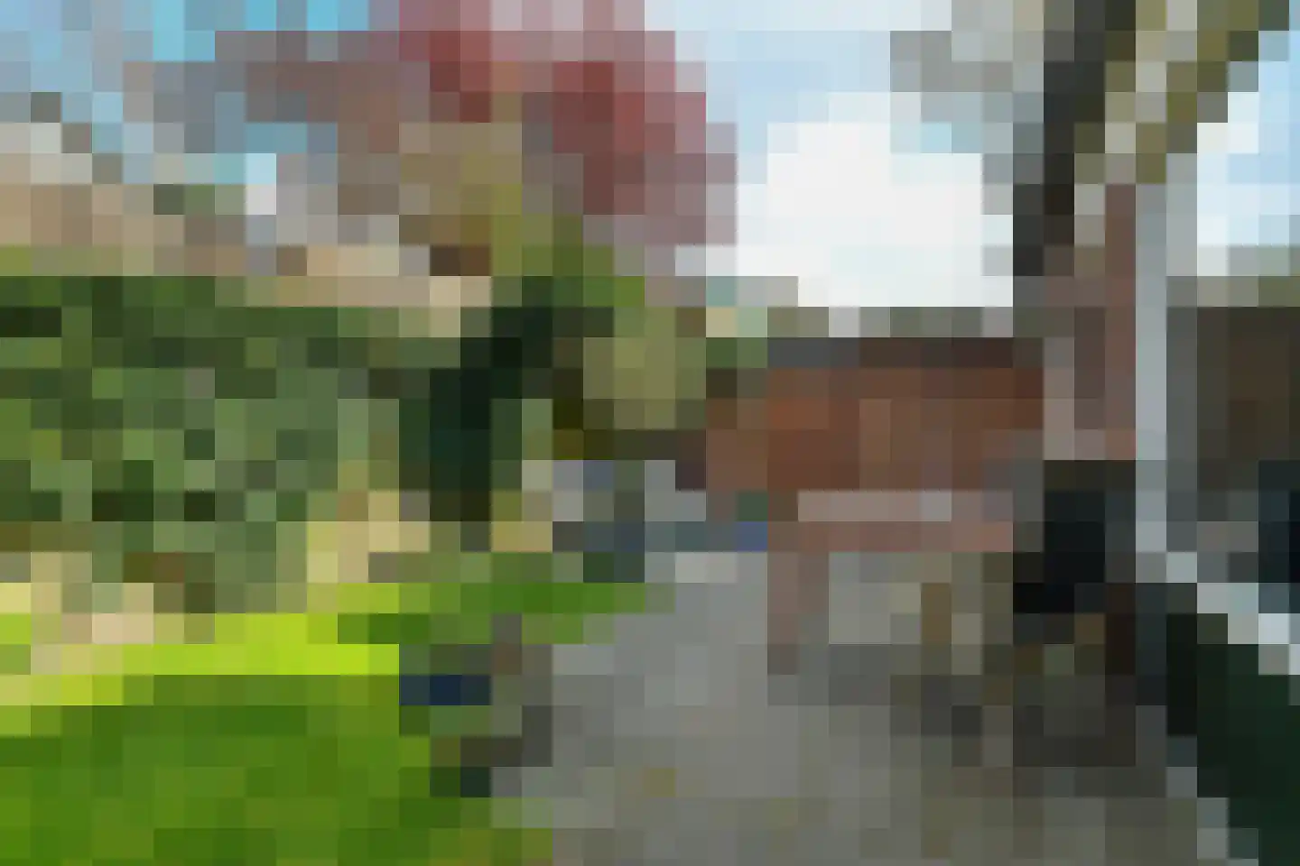 de Smidse 6 Oosterbeek thumbnail 14
