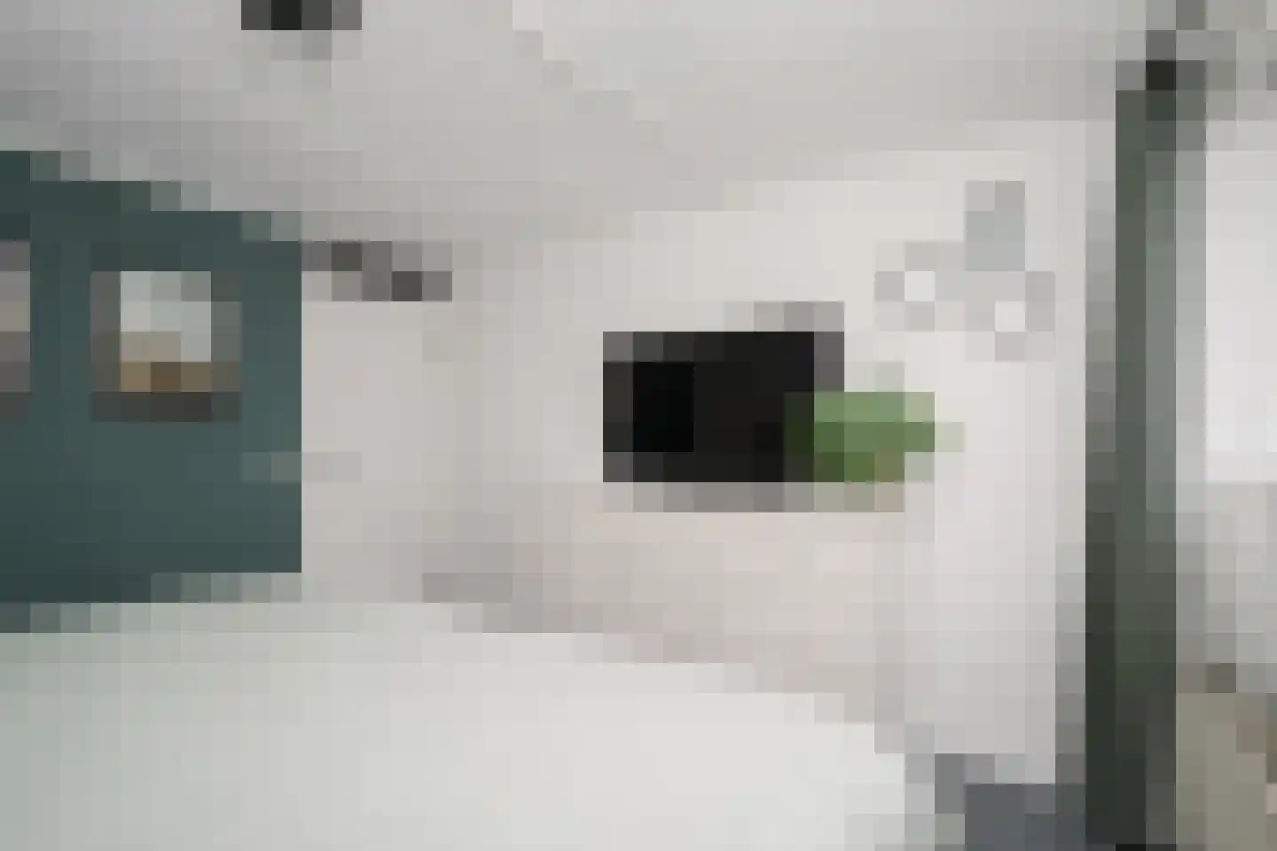 de Smidse 6 Oosterbeek thumbnail 23