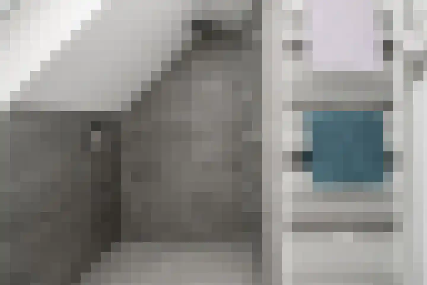 de Smidse 6 Oosterbeek thumbnail 31