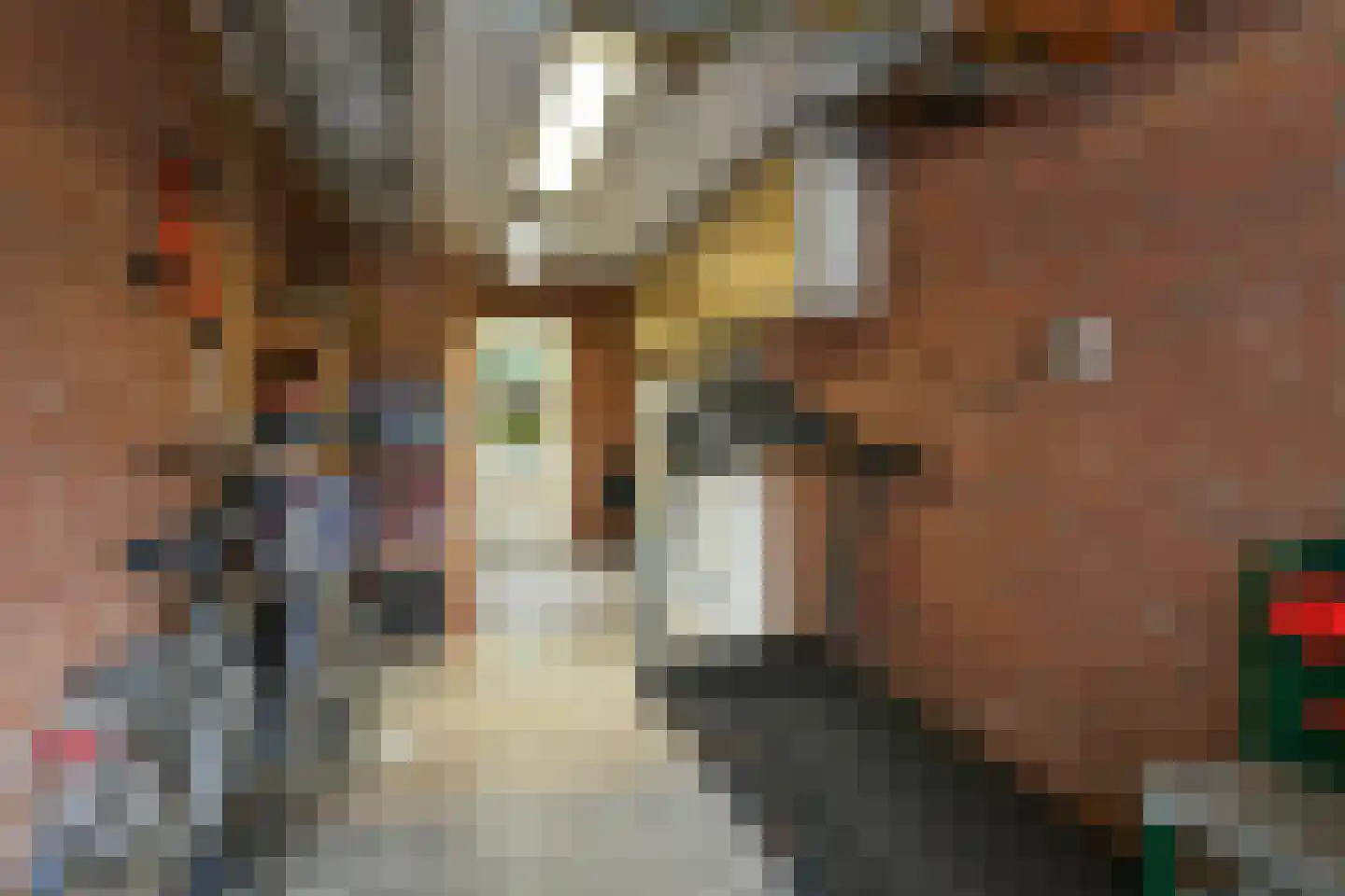 de Smidse 6 Oosterbeek thumbnail 35