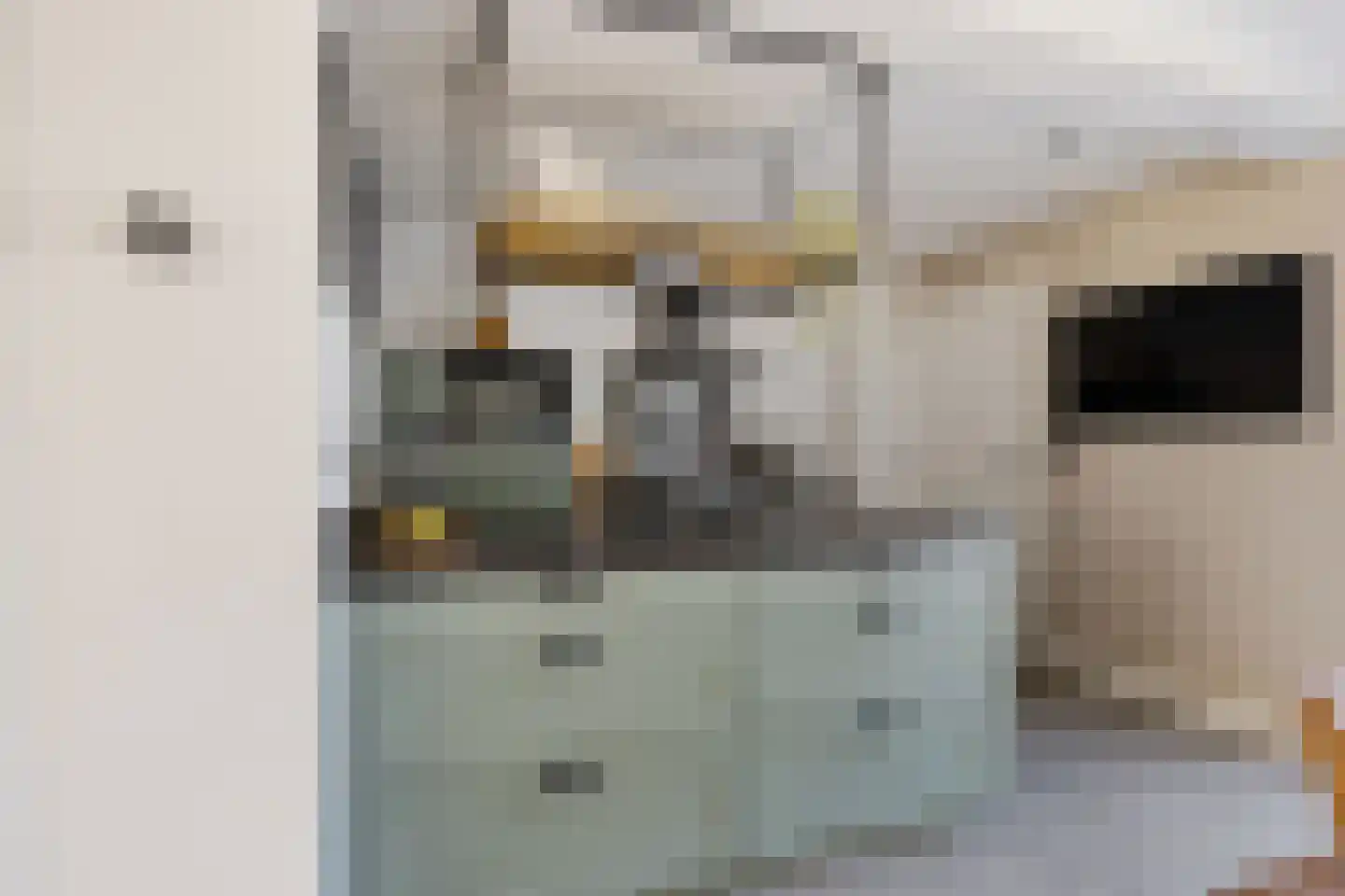 De Smidte 4 Augustinusga thumbnail 10