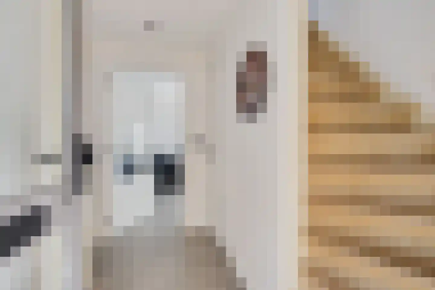 De Smidte 4 Augustinusga thumbnail 13