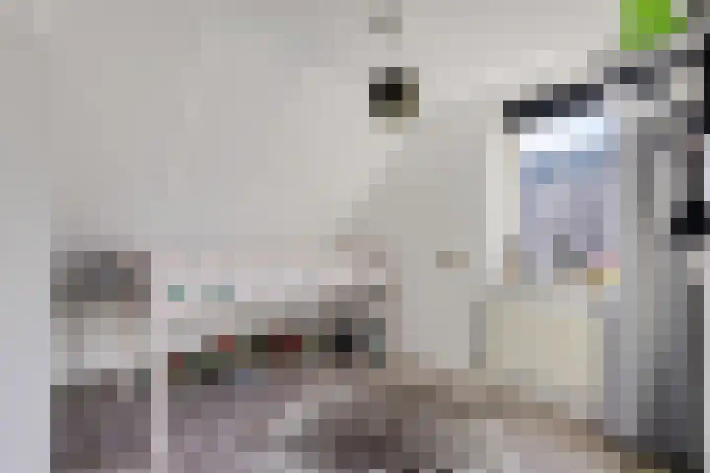 De Smidte 4 Augustinusga thumbnail 18