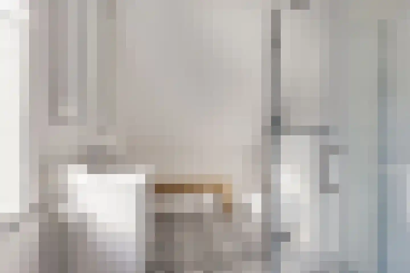 De Smidte 4 Augustinusga thumbnail 20