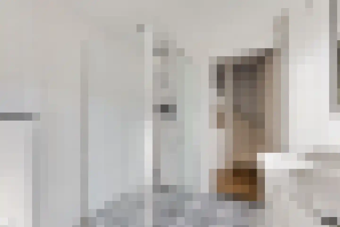 De Smidte 4 Augustinusga thumbnail 22