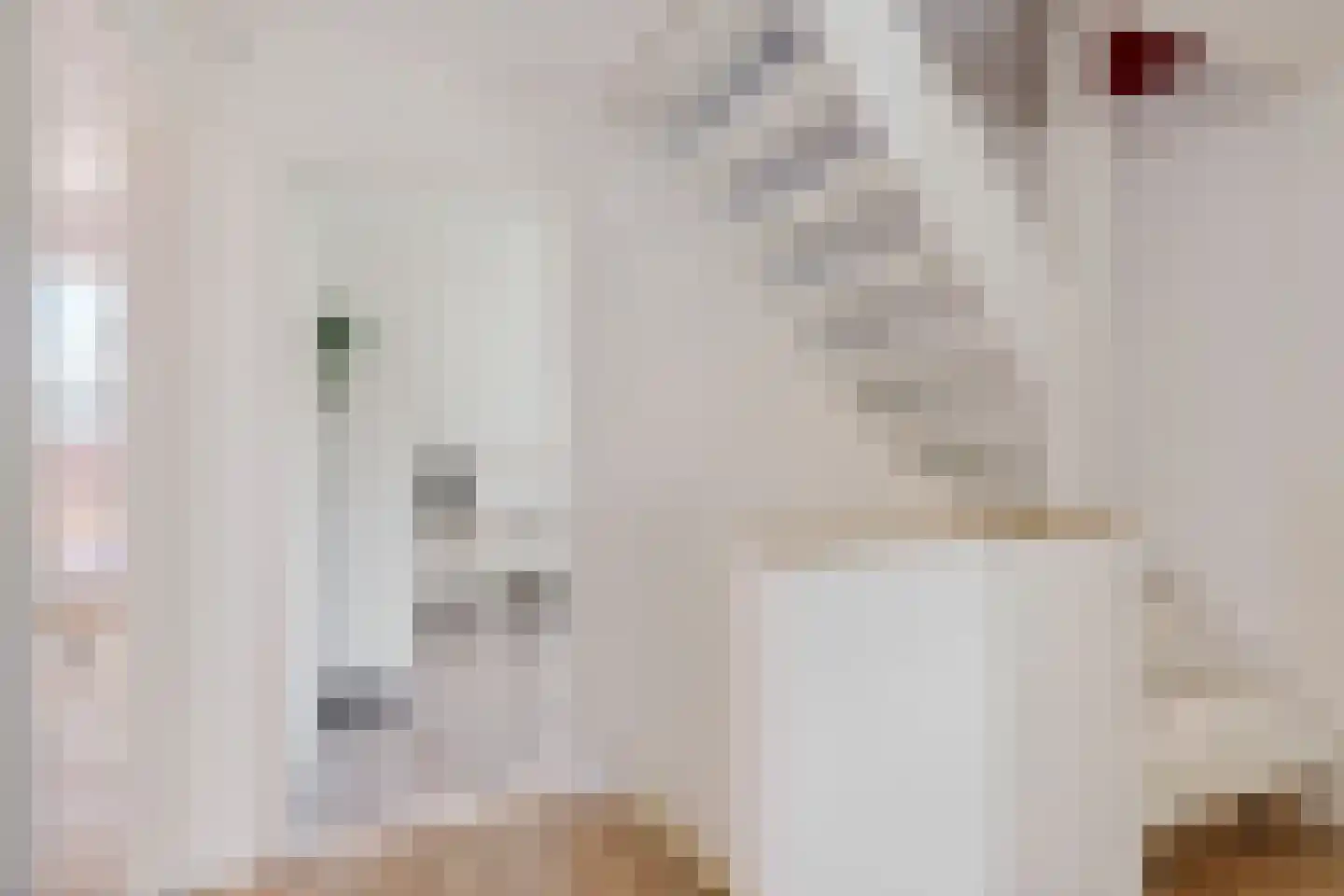 De Smidte 4 Augustinusga thumbnail 23