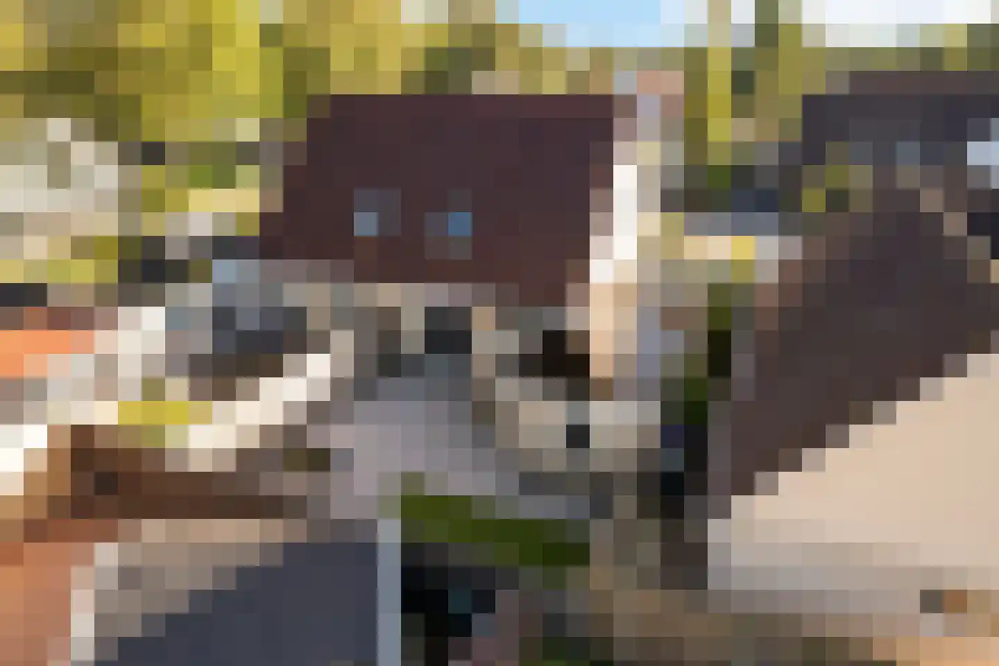 De Smidte 4 Augustinusga thumbnail 26