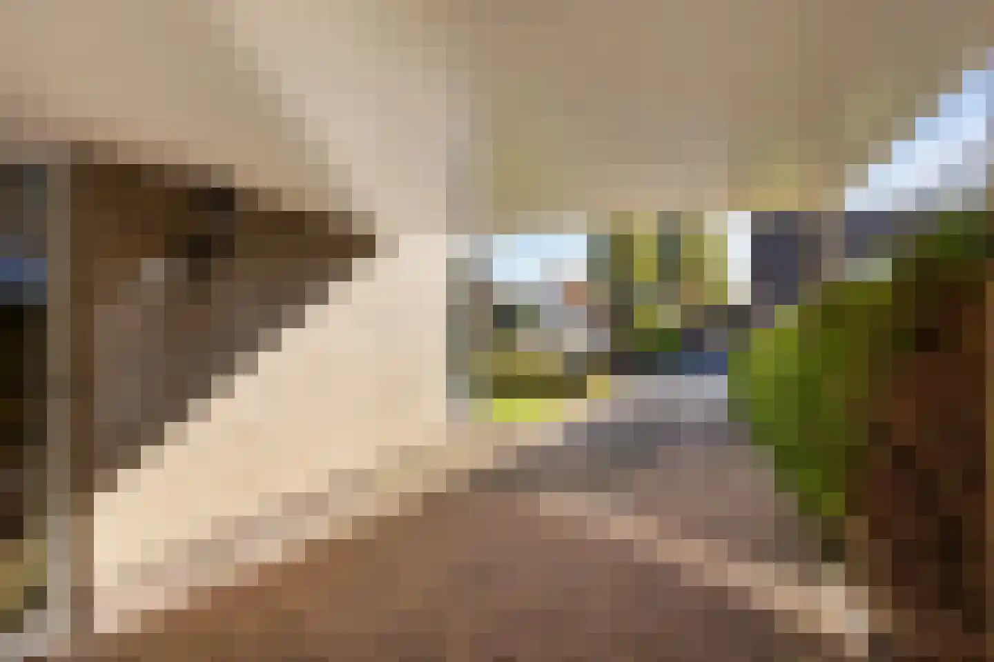De Smidte 4 Augustinusga thumbnail 27