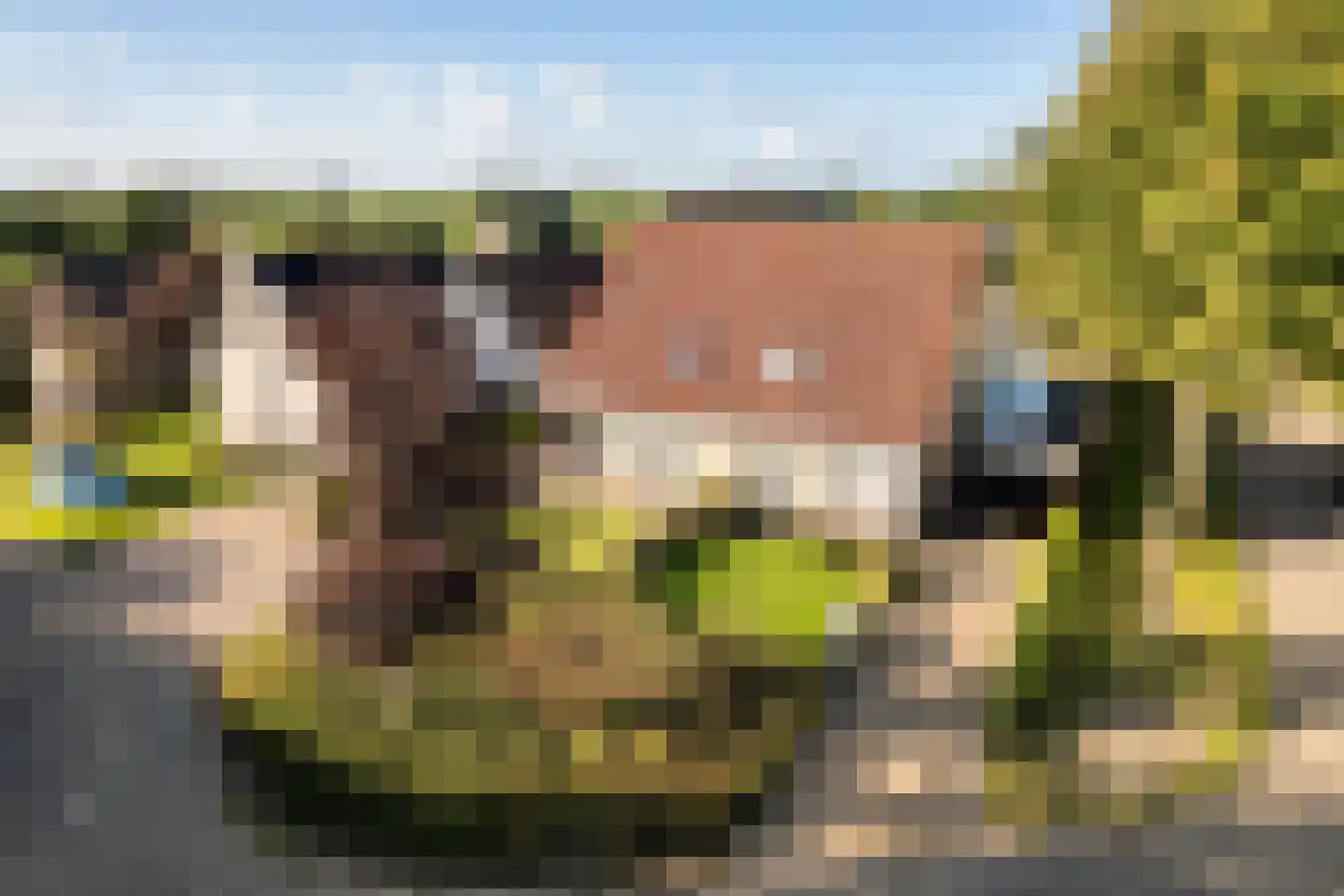 De Smidte 4 Augustinusga thumbnail 30