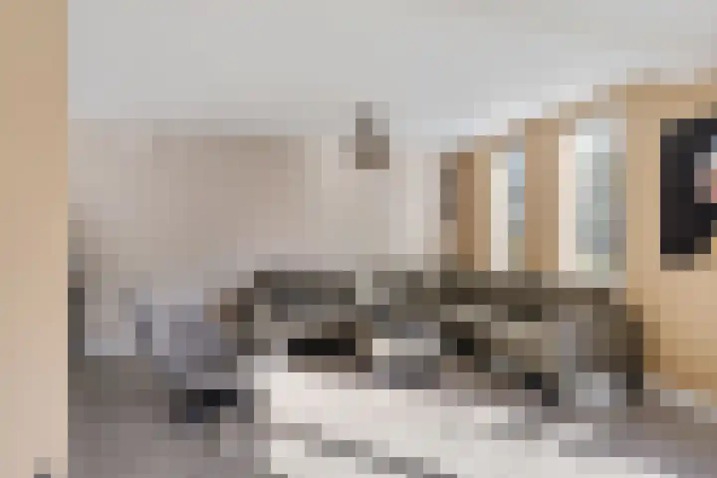 De Smidte 4 Augustinusga thumbnail 4